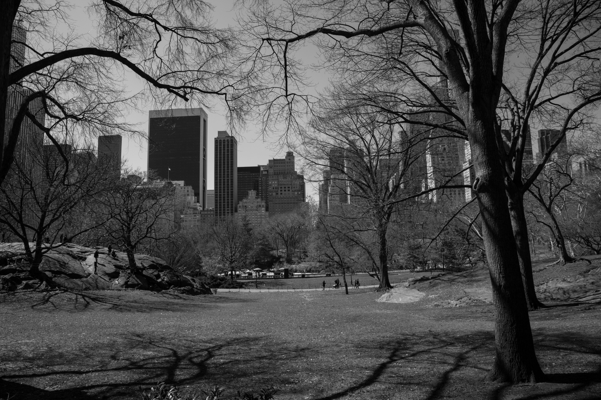 park-central-new-york-mall-free-image-from-needpix