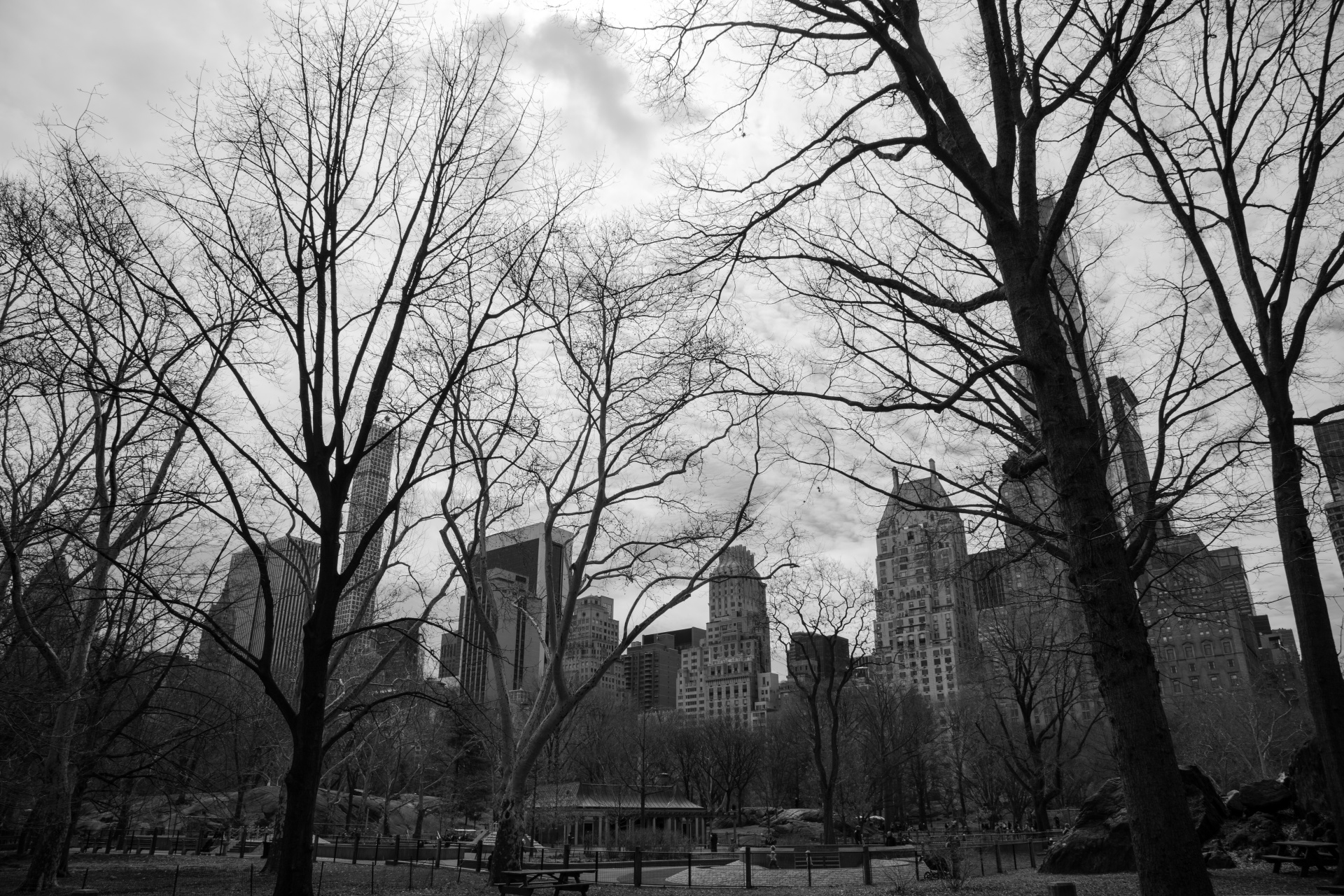 park central new free photo