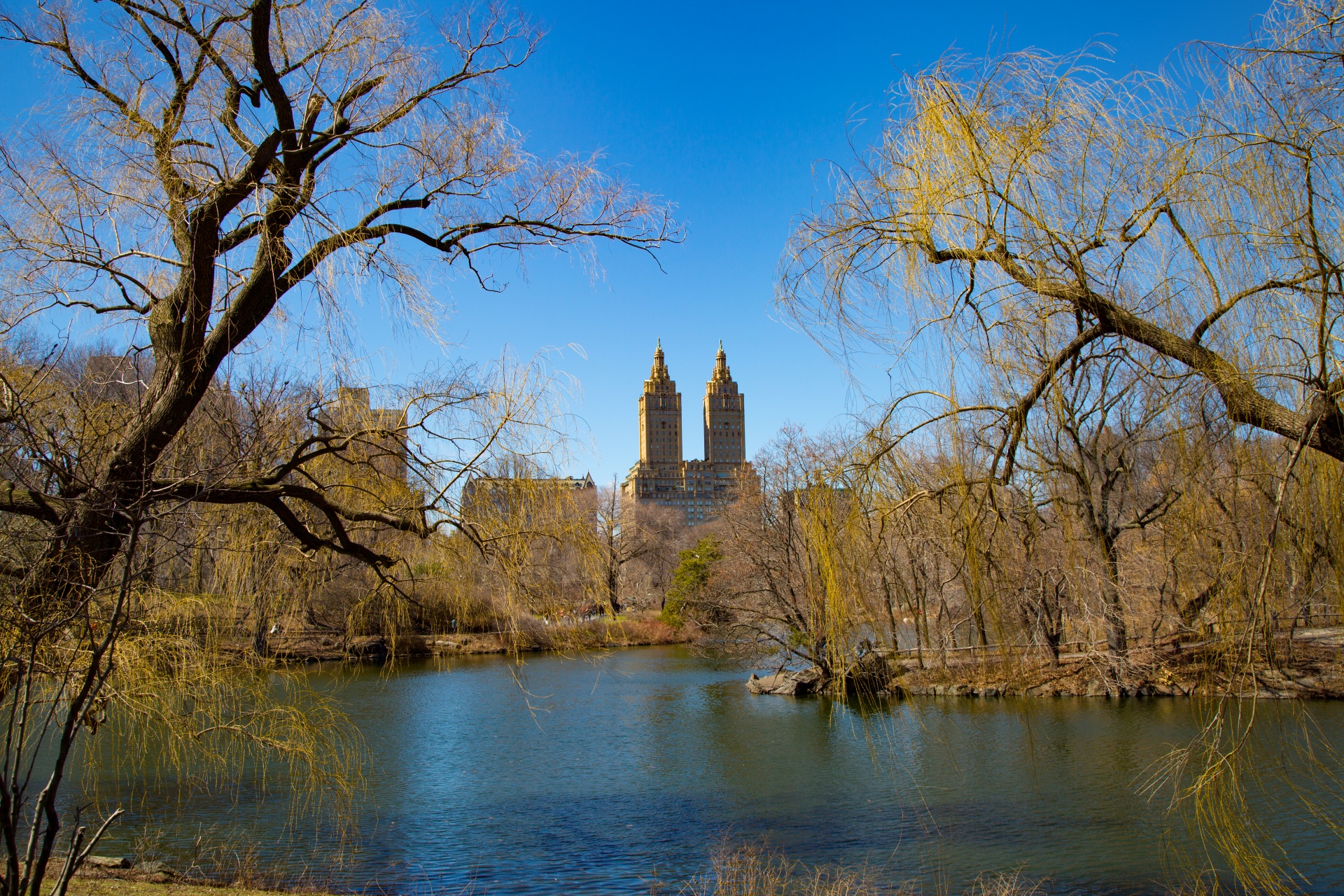 york park manhattan free photo