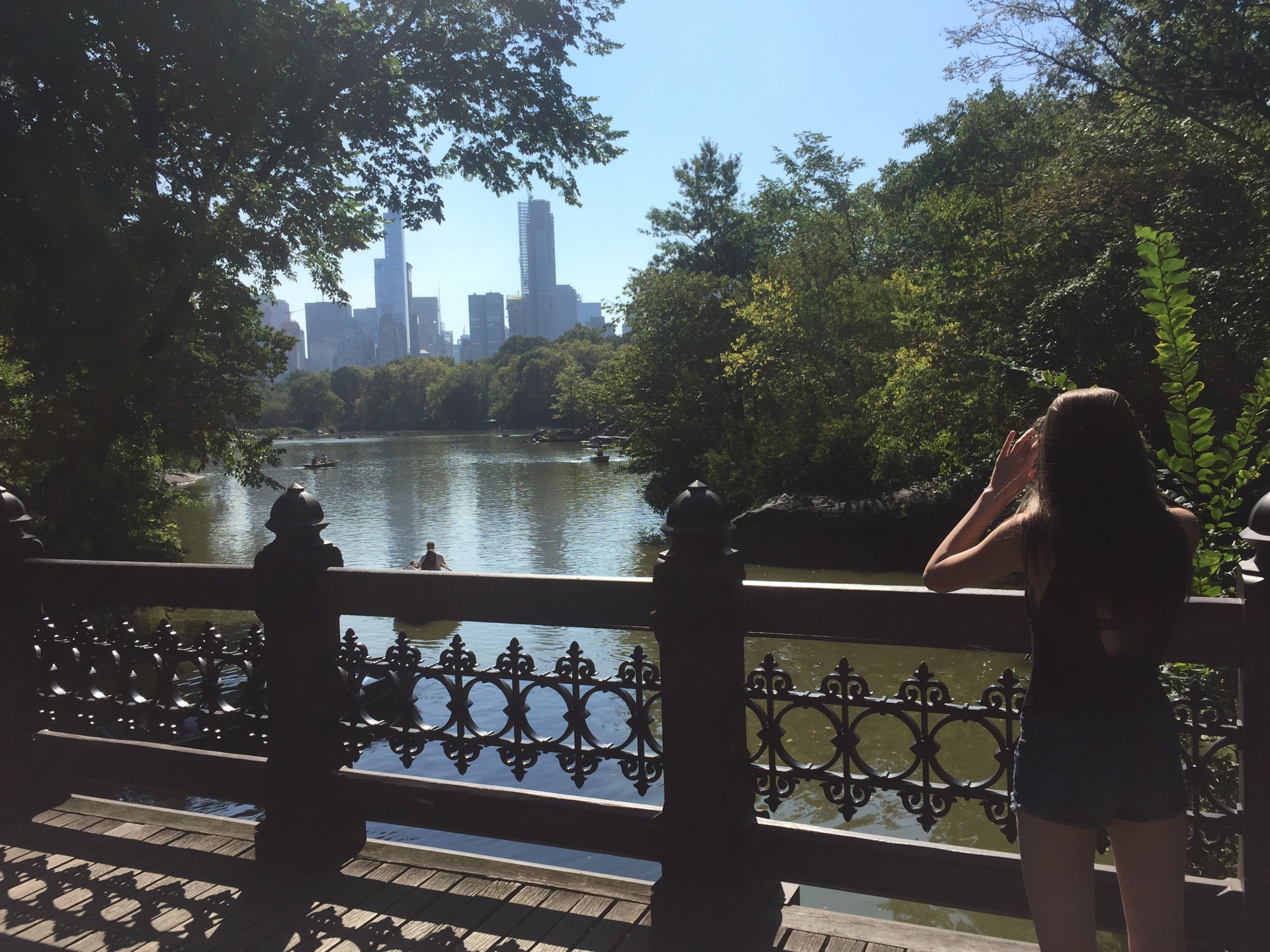 central park new york skyline free photo