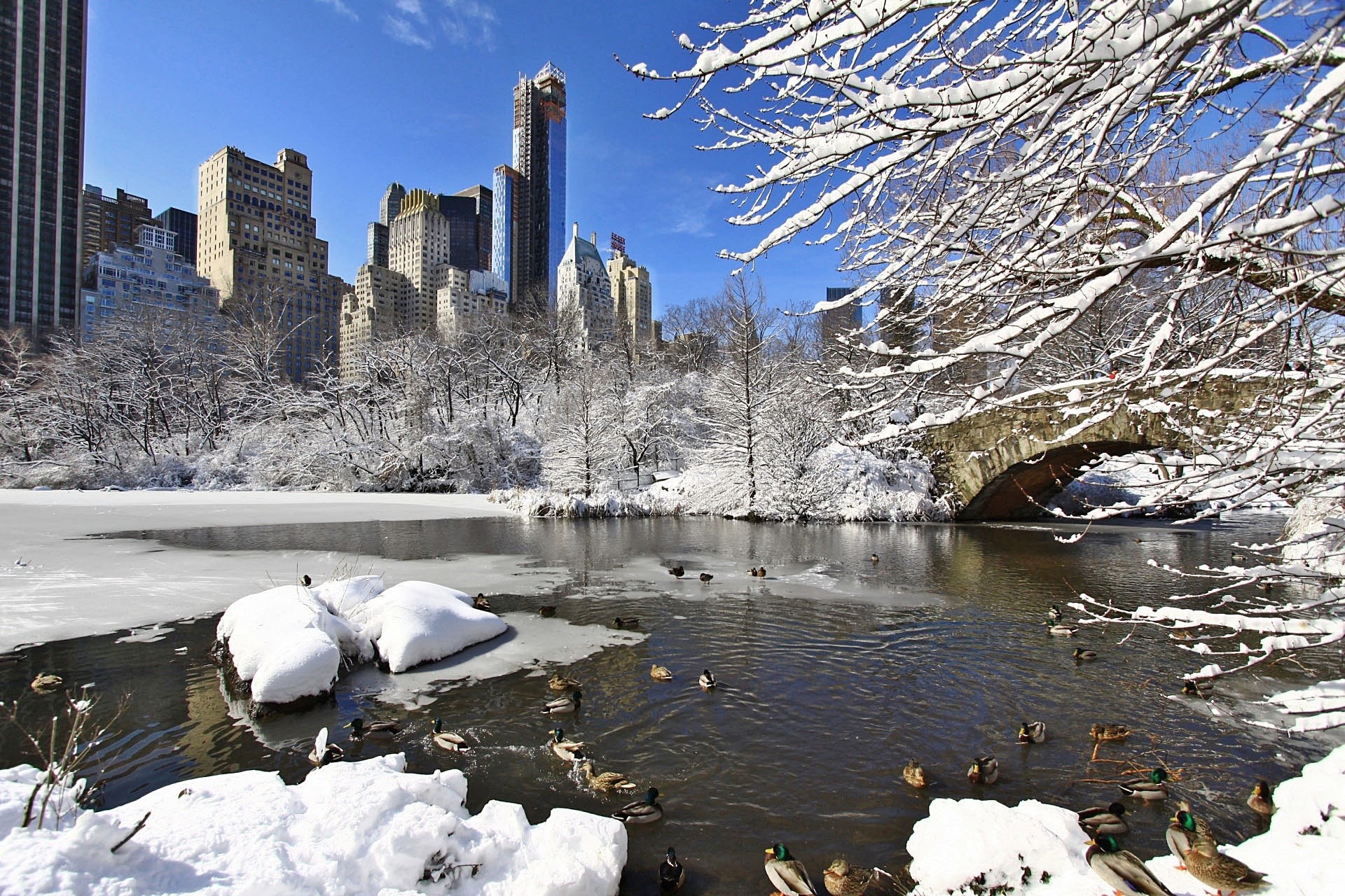 park new york manhattan free photo