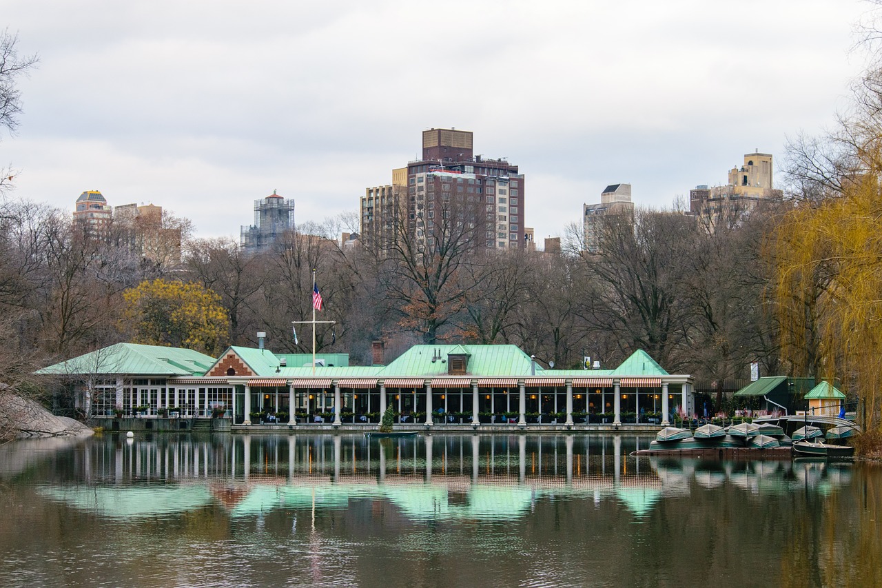 centralpark manhattan nyc free photo