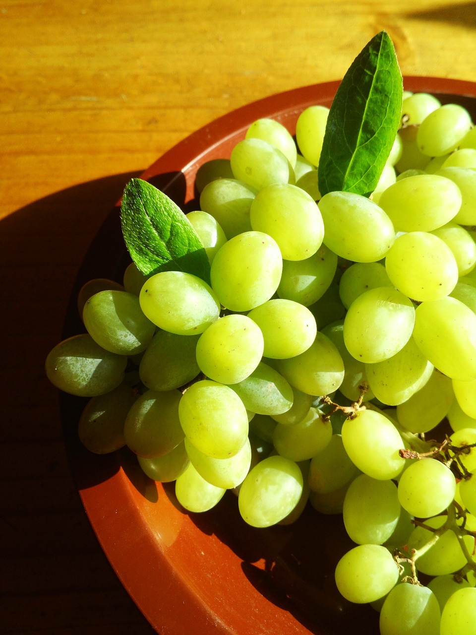 ceongpodo grapes chartreuse free photo
