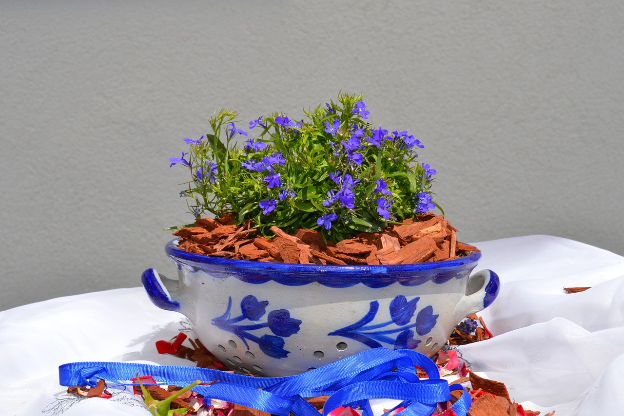 earthenware ceramic vessel free photo