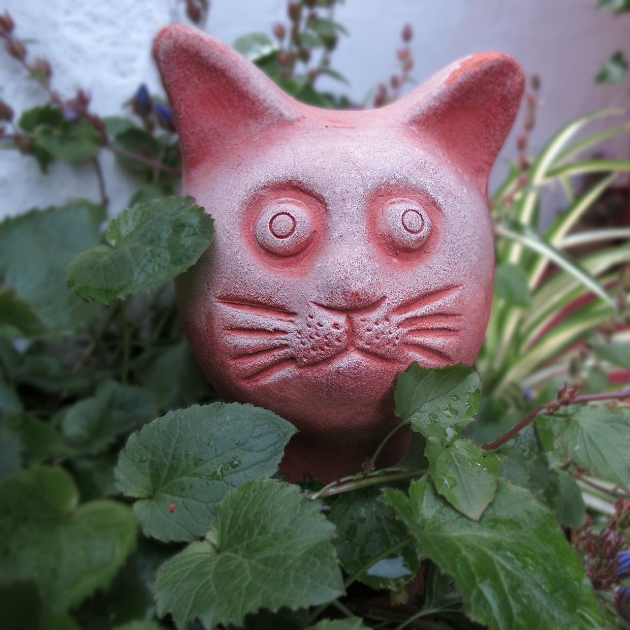 ceramic garden figurines cat free photo