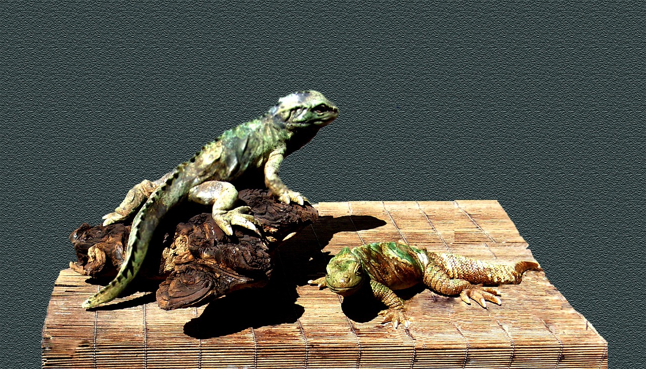 ceramic reptile animal free photo