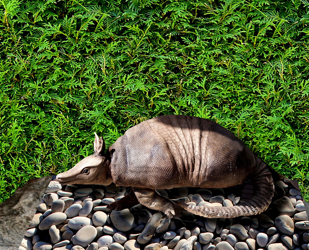 ceramic armadillo animal free photo