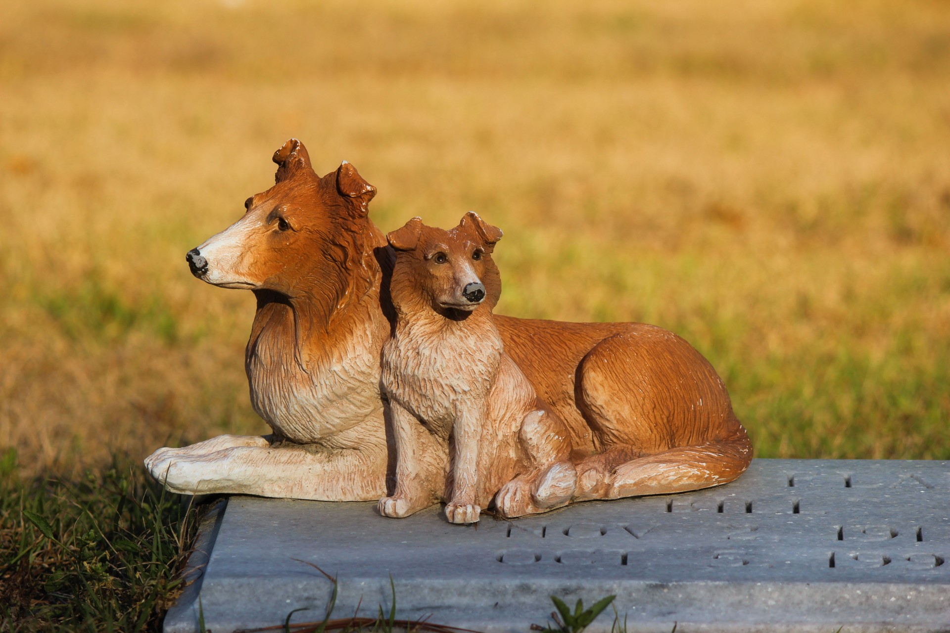 dog doges ceramic free photo