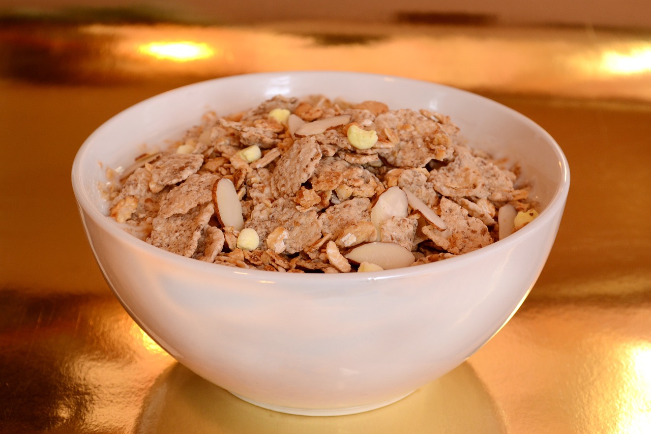 cereal dish breakfast free photo
