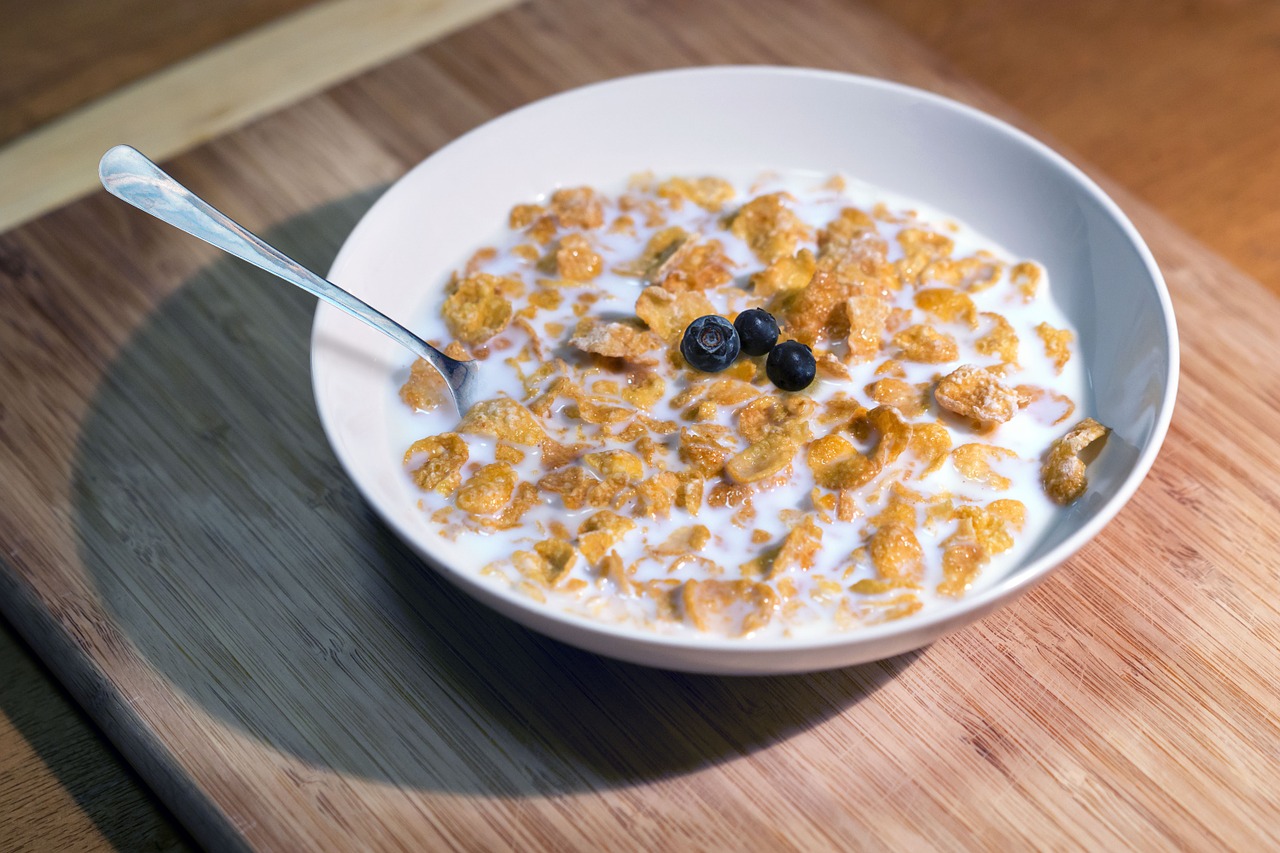 cereal breakfast bowl free photo