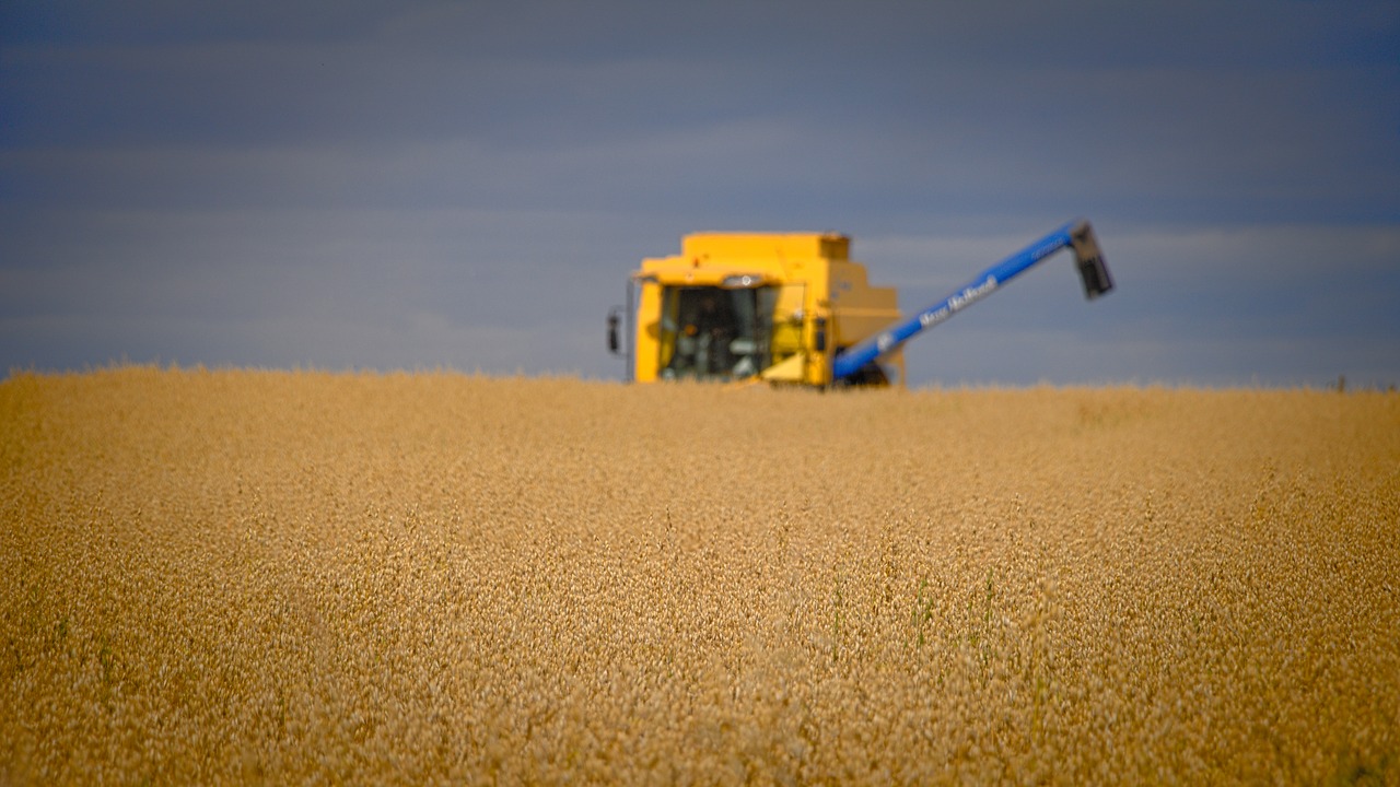 cereal field harvesting free photo