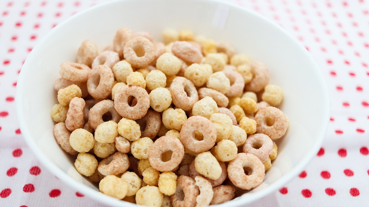 cereal  bowl  rings free photo