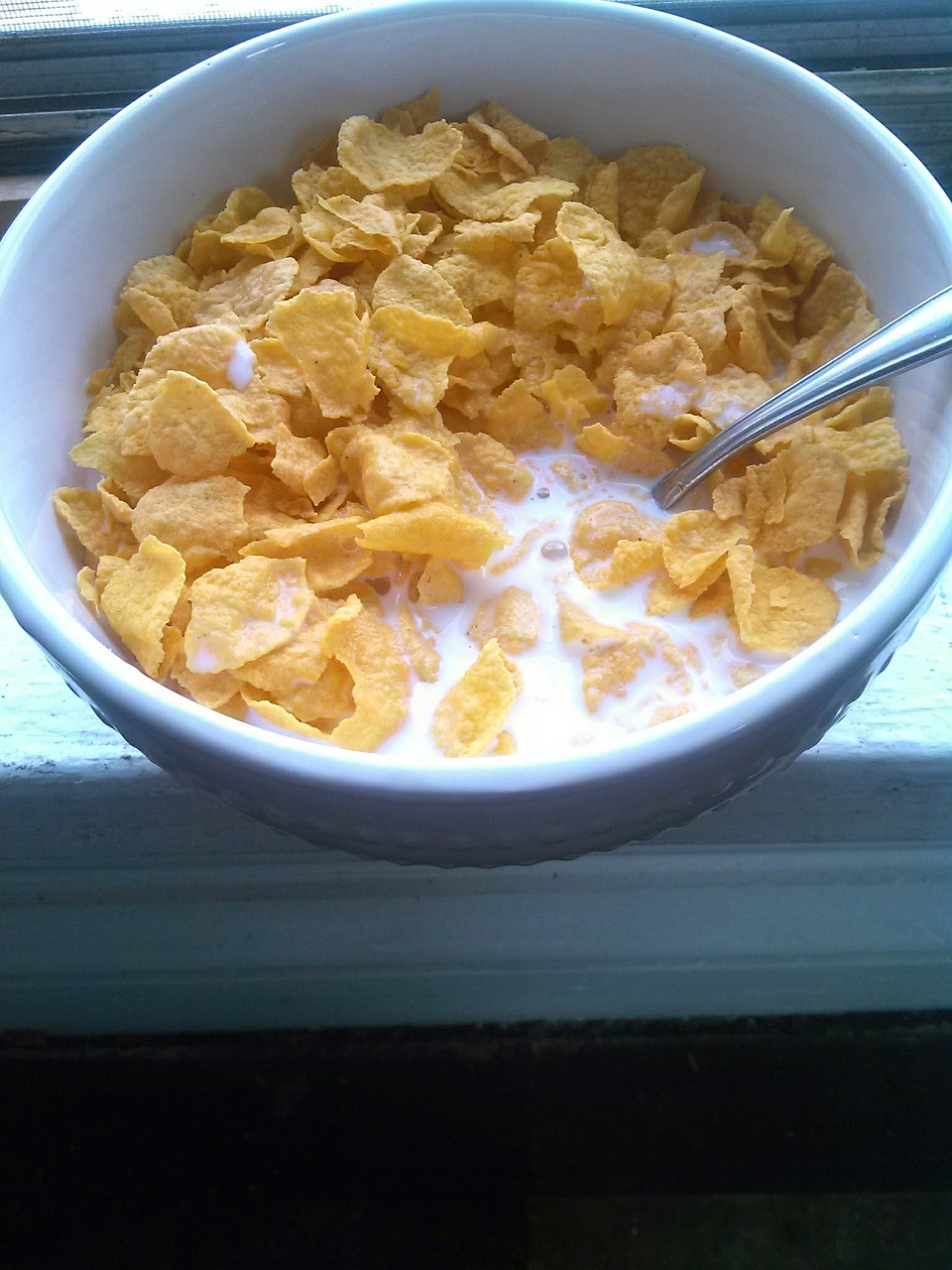 cereal bowl breakfast free photo