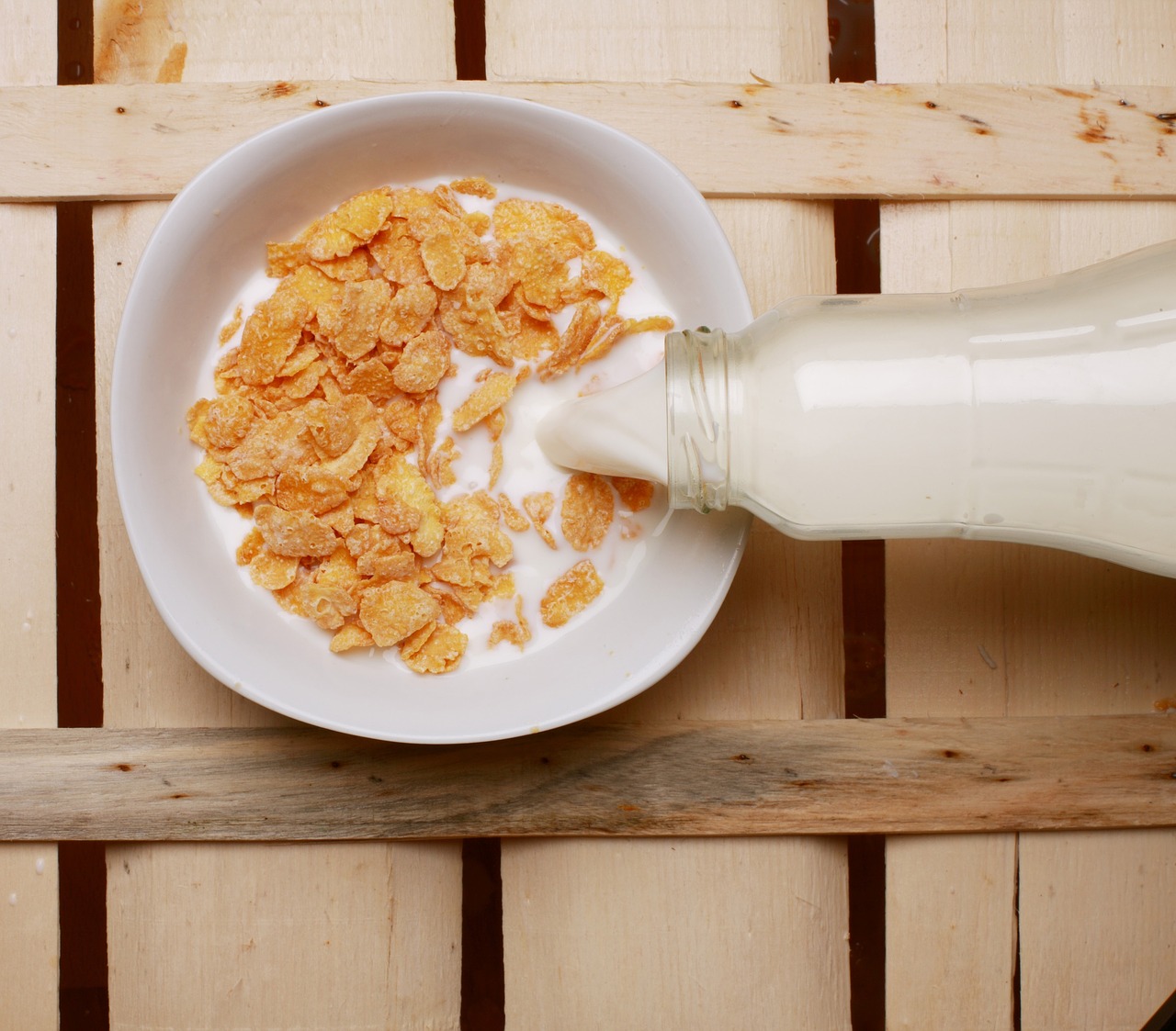 cereals milk bottle free photo