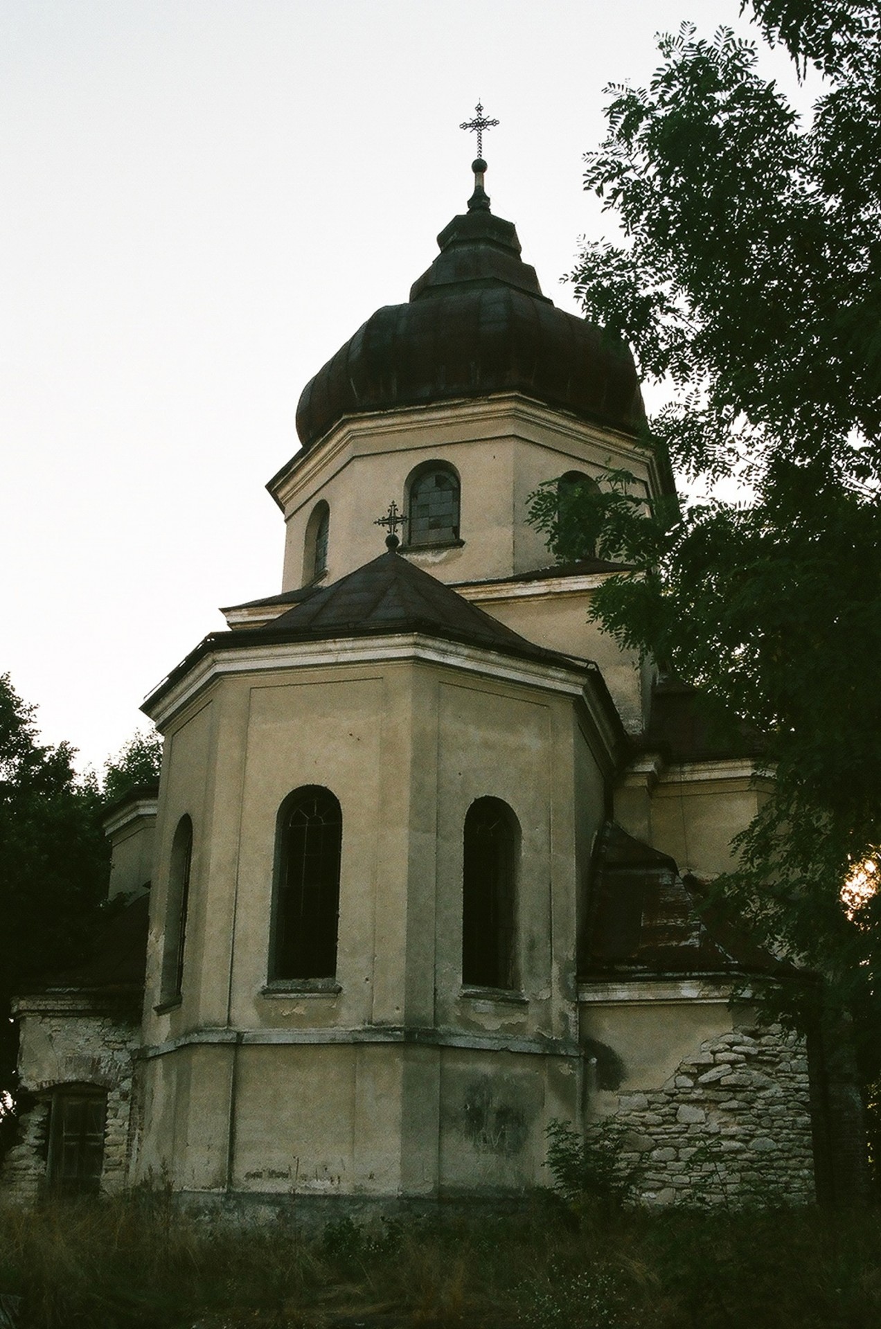 church amphibian lublin free photo