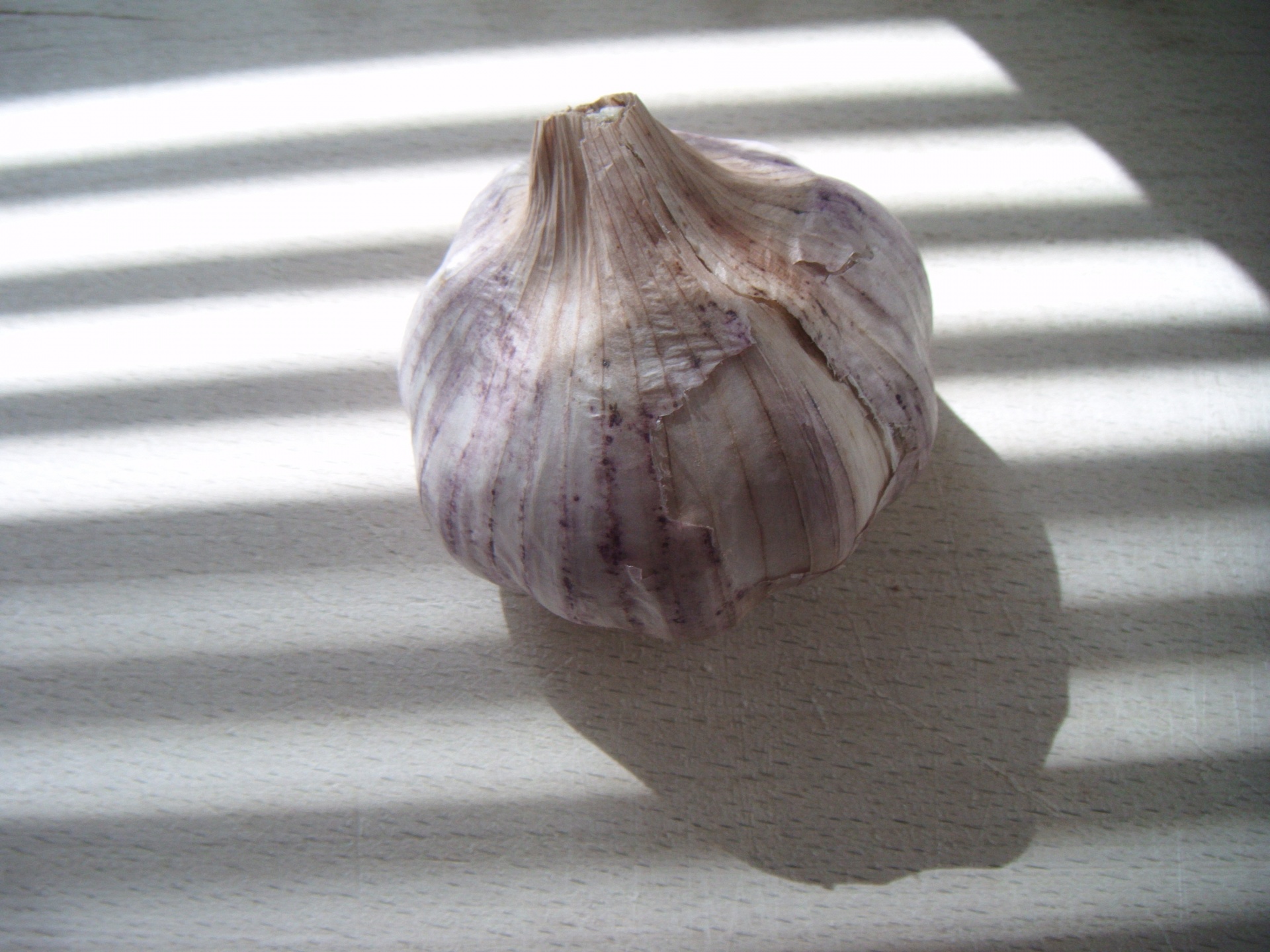 garlic head buds bulbs free photo