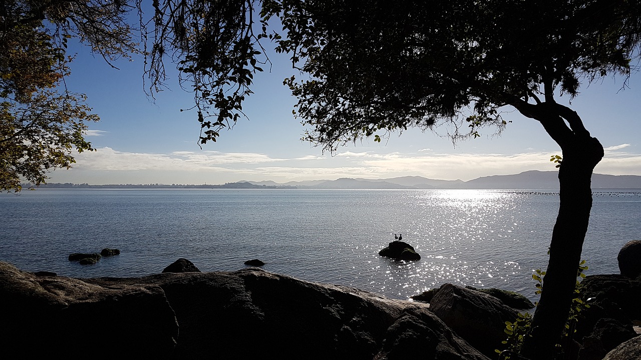 ceu beach horizon free photo