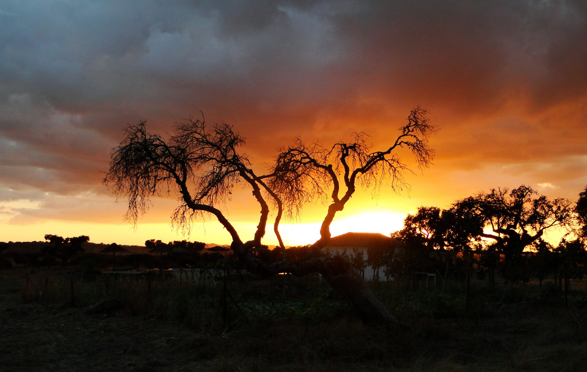 sky fire sunset free photo