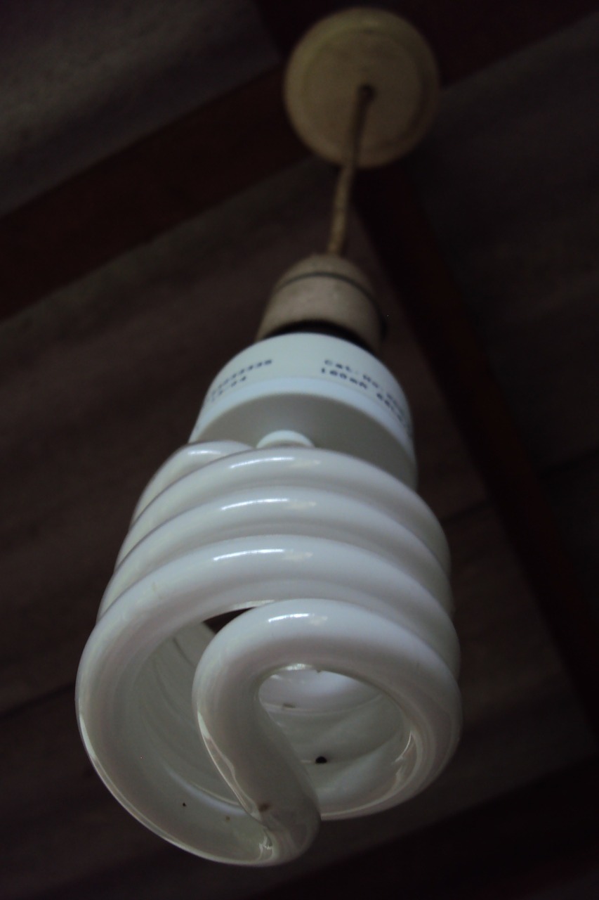 cfl bulb light bulb free photo