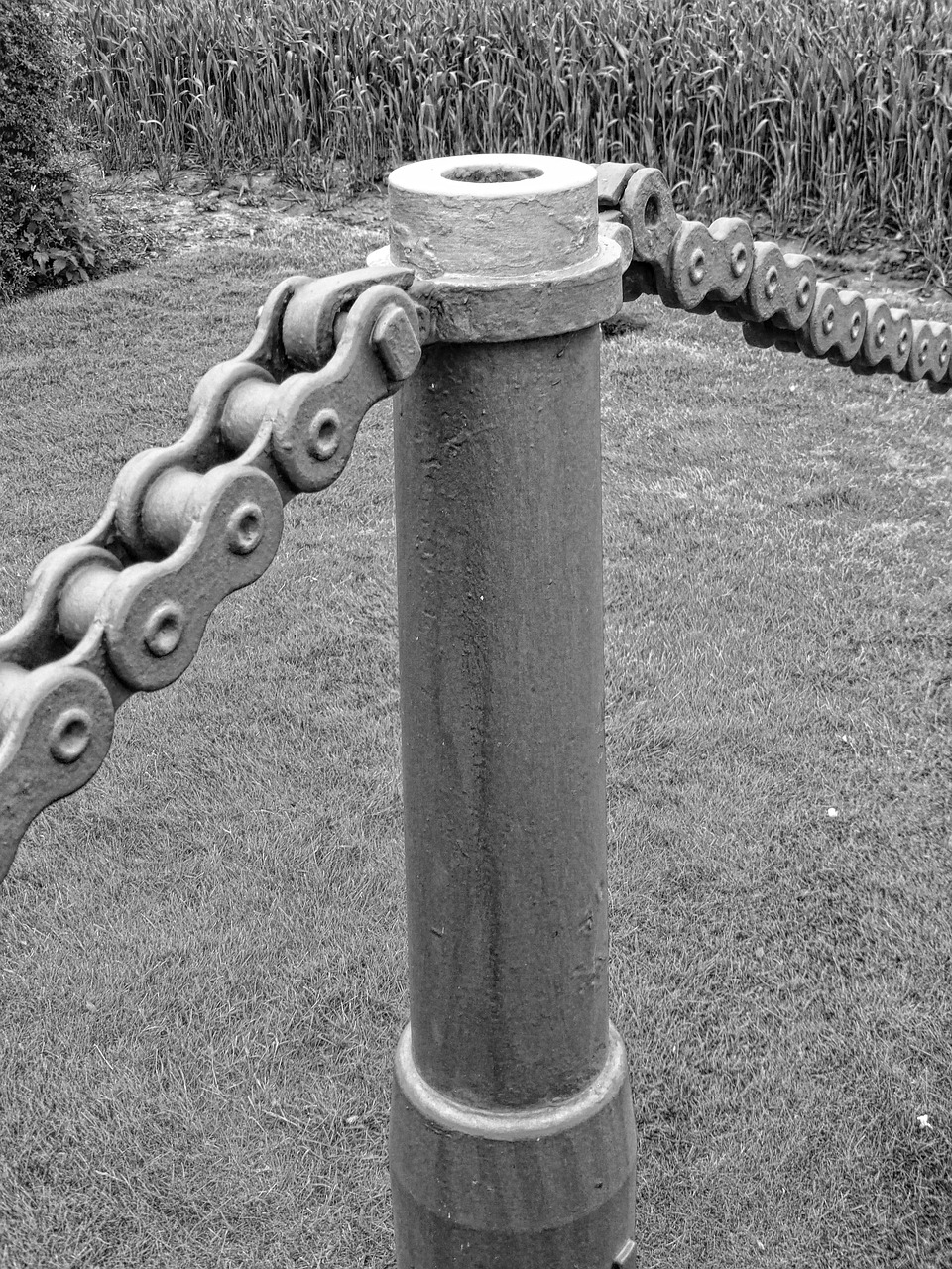 chain fence sturdy free photo