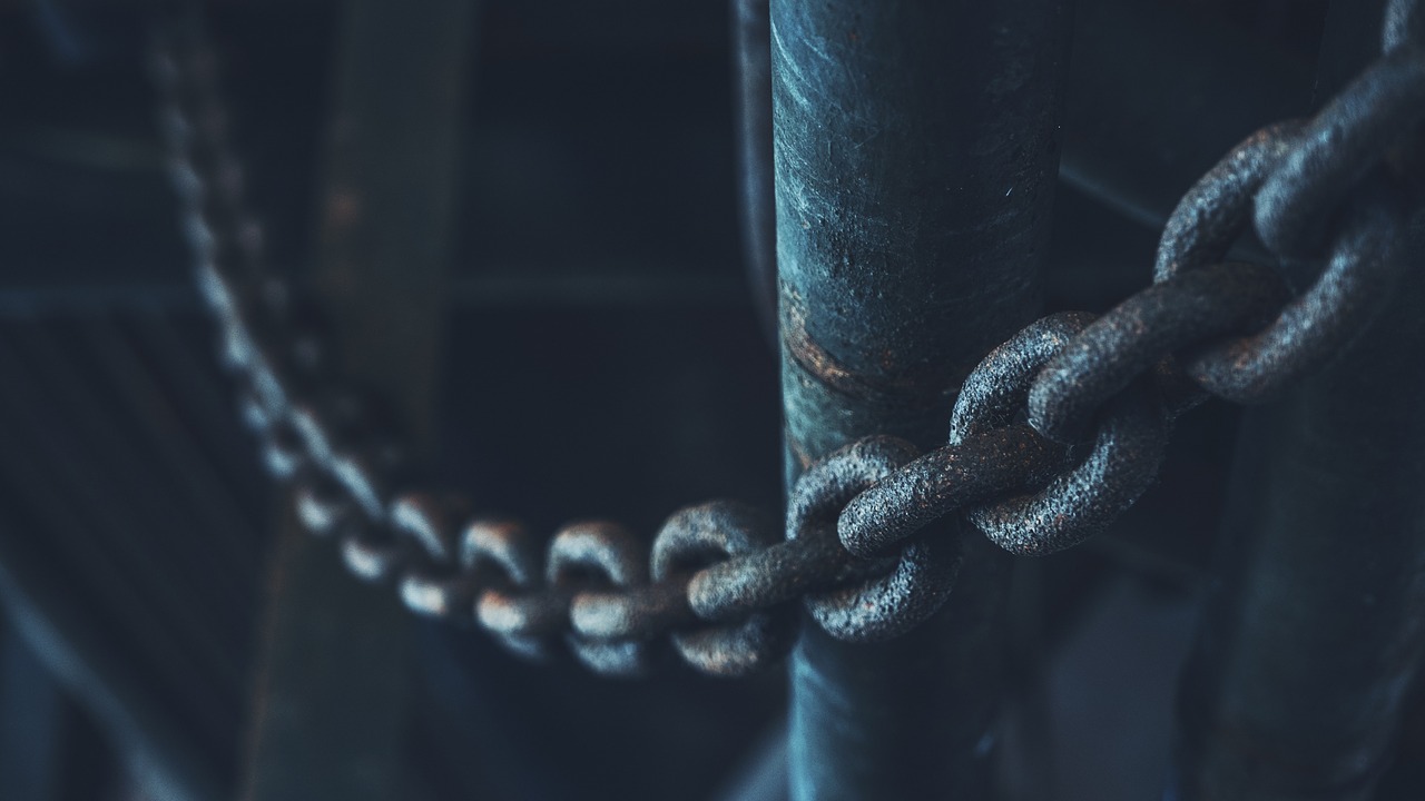 chain nature abstract free photo