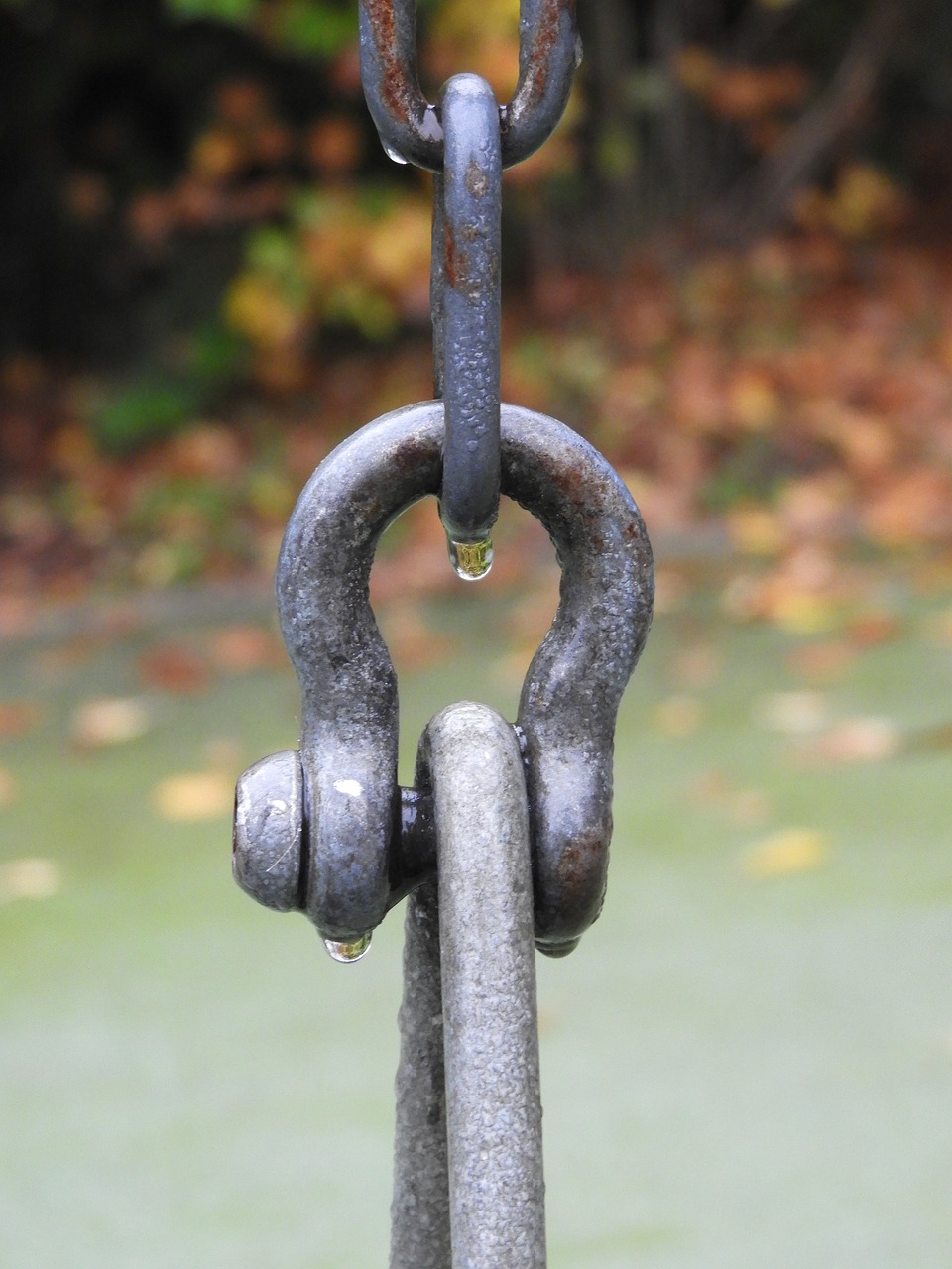 chain shackle water drops free photo