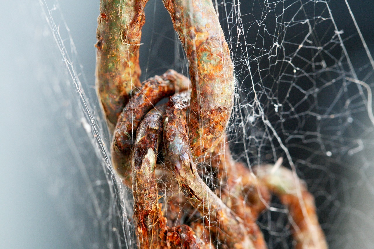 chain cobweb rust free photo