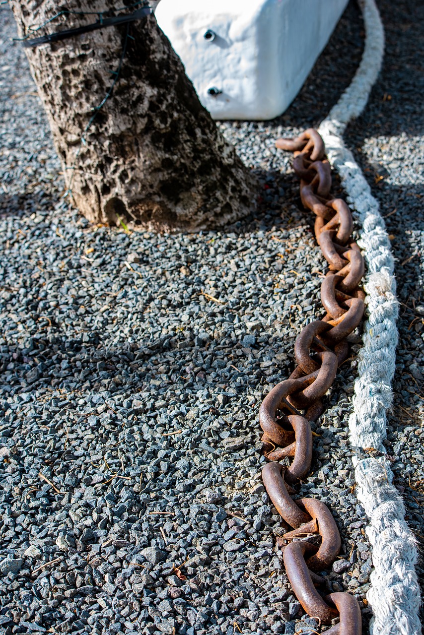 chain  link  big chain free photo