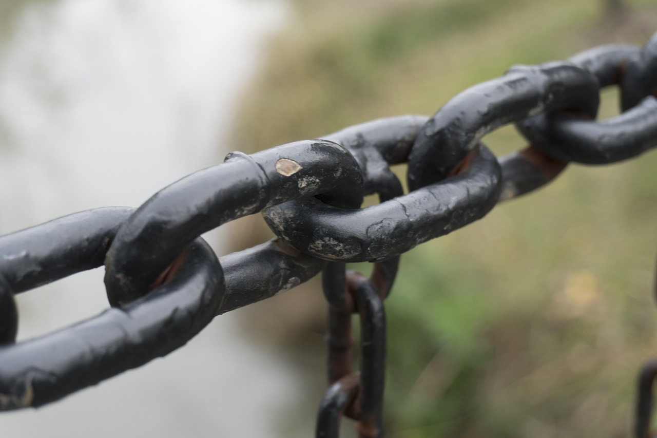 chain  metal  link free photo