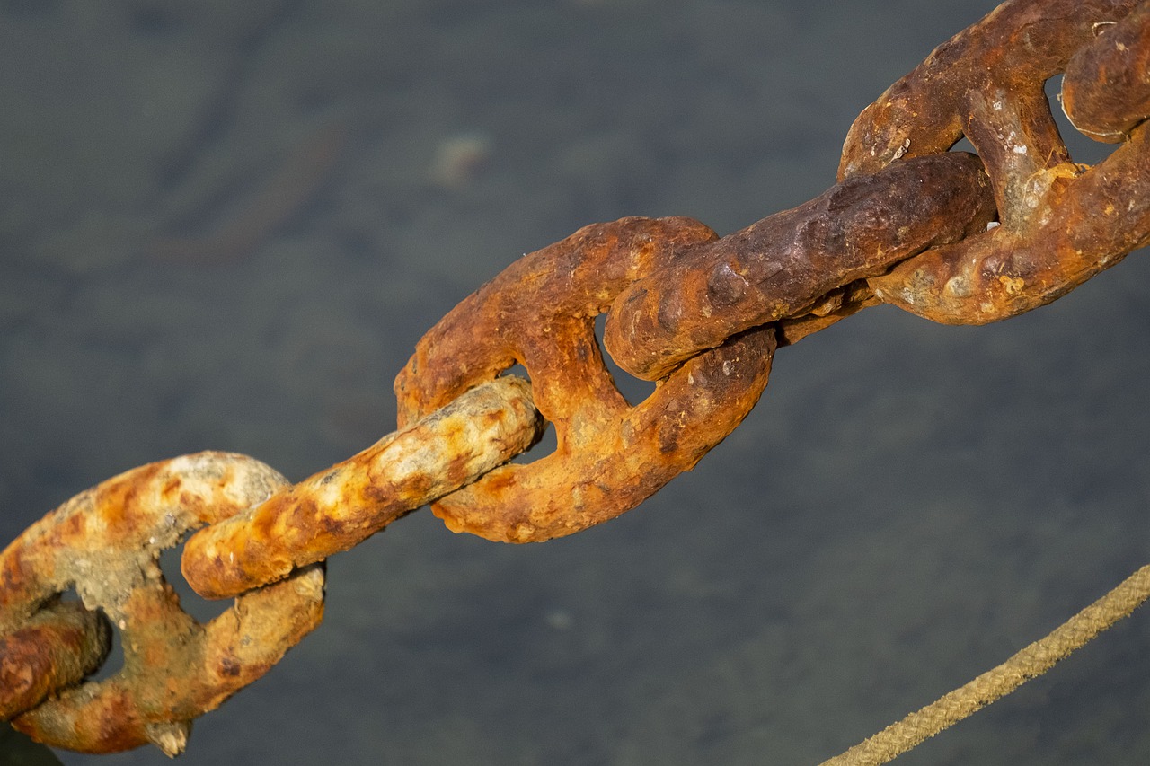 chain  rust  sea free photo