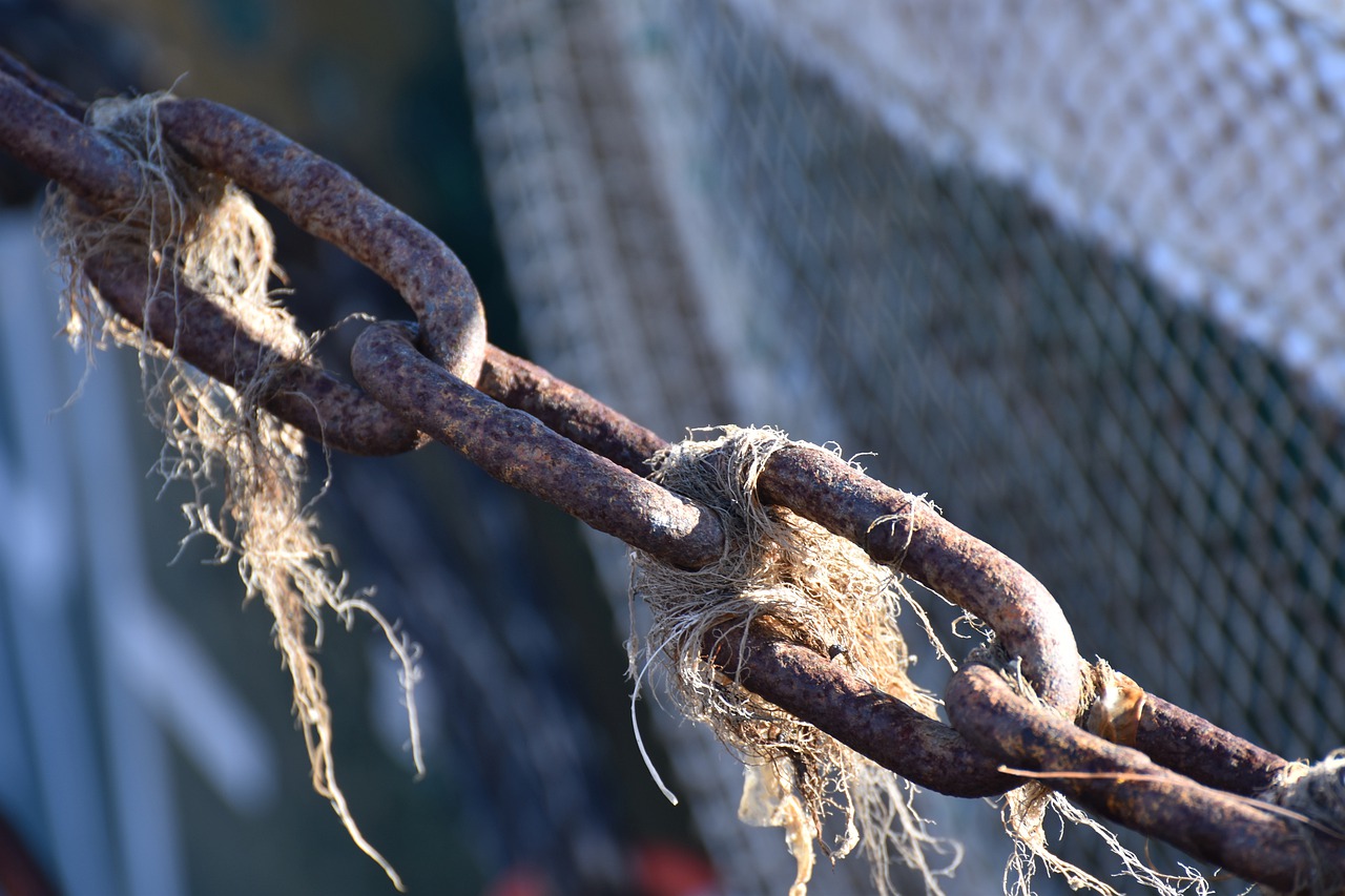 chain  light  tang free photo