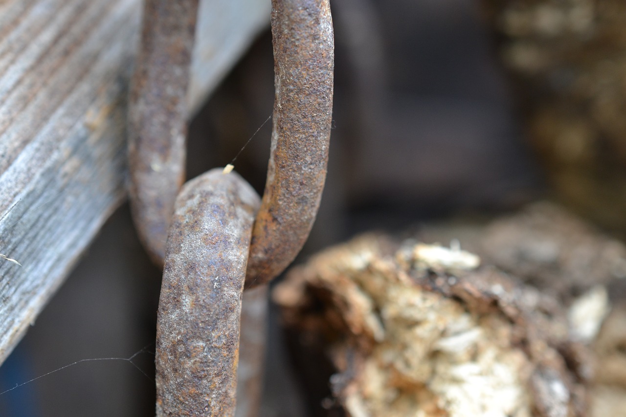 chain chain link metal free photo