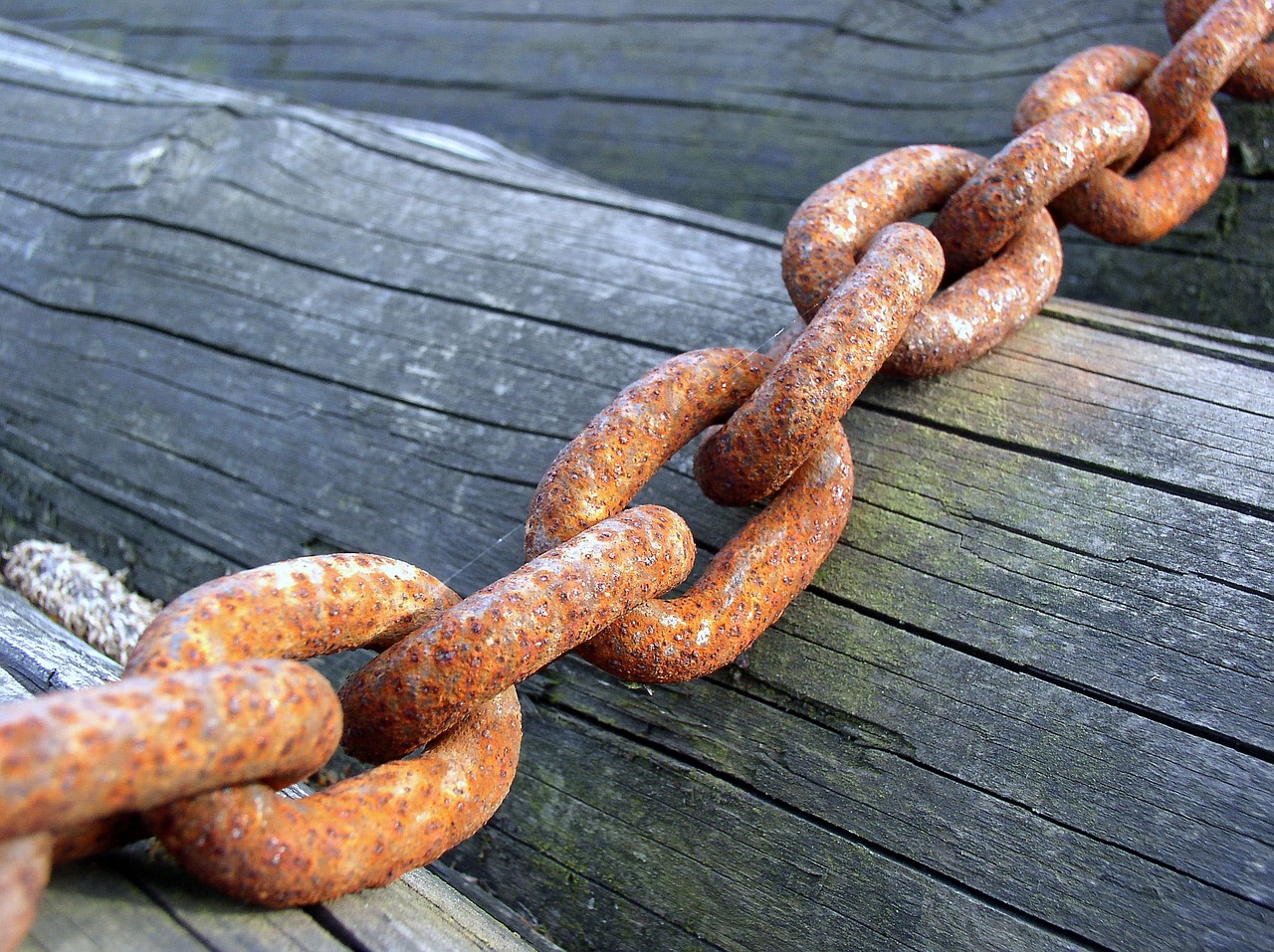 chain wood trunks stainless free photo