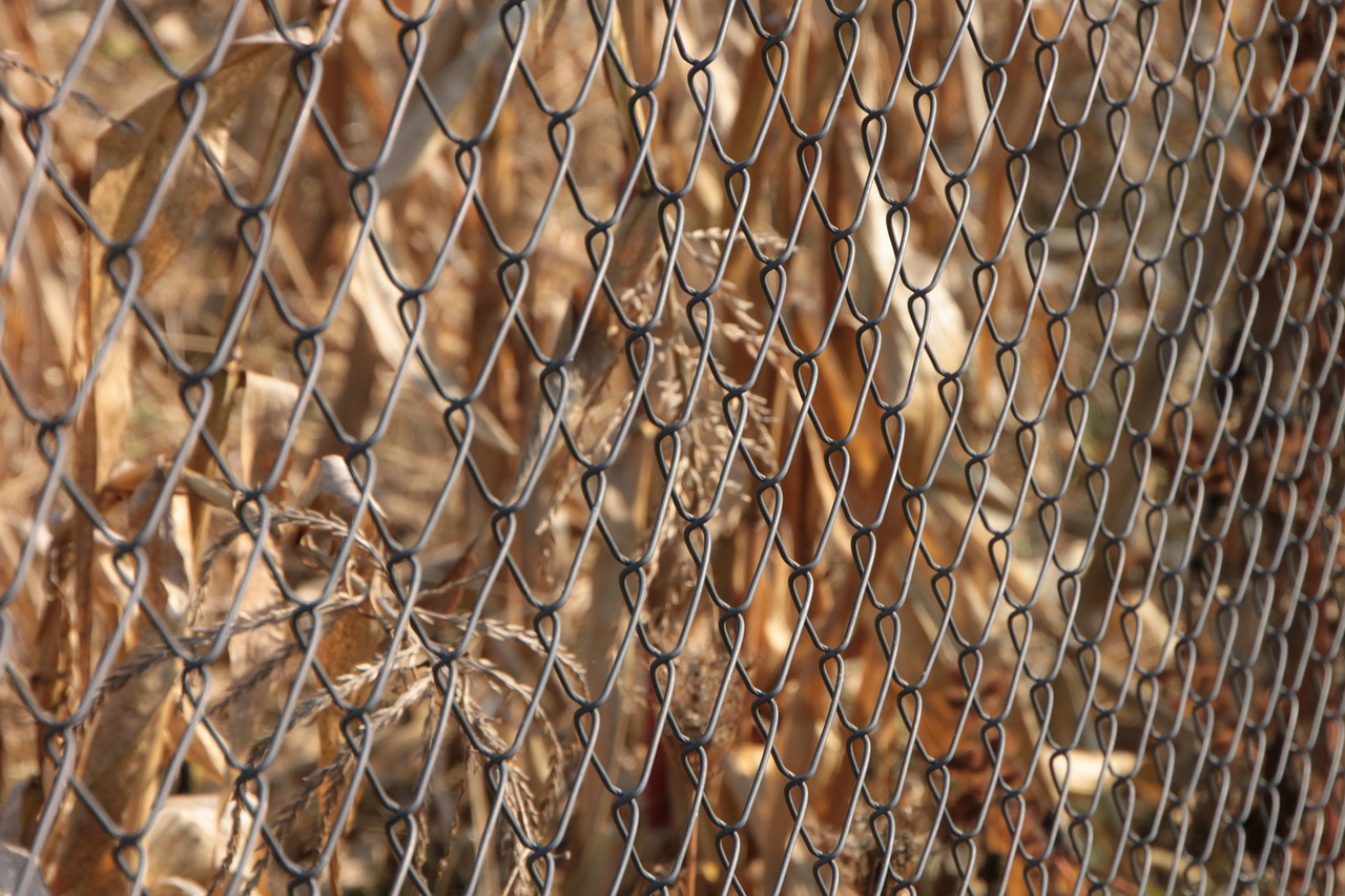 chain fence fencing free photo