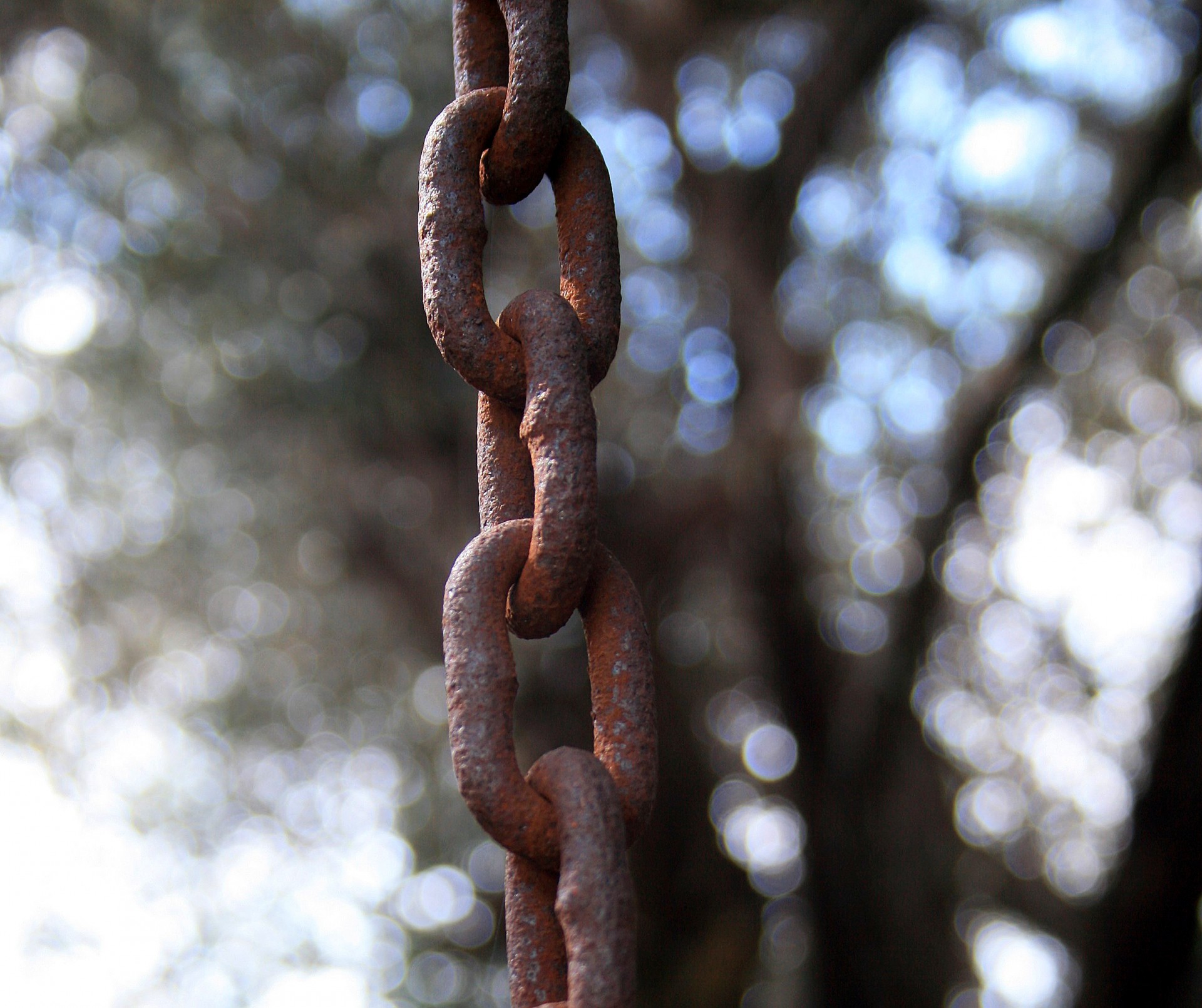 chain strong rusted free photo