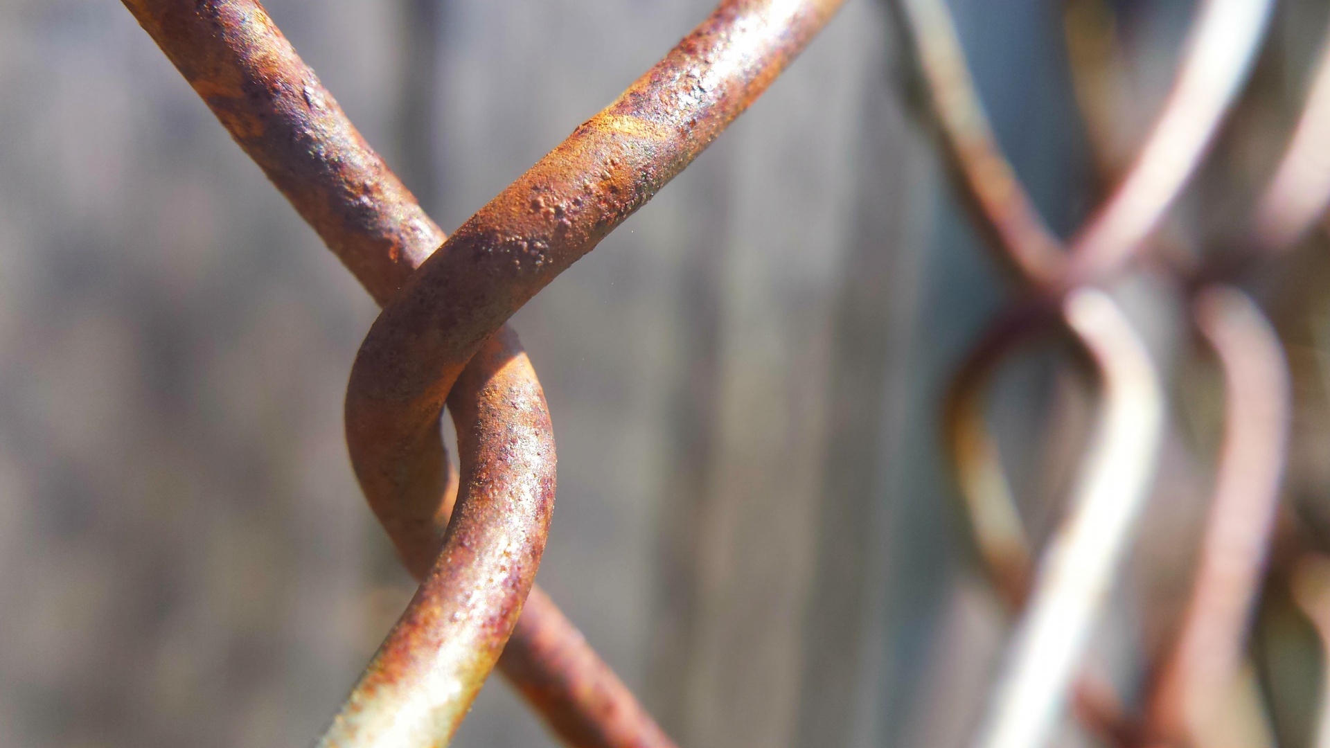 chain fence rust rusted free photo