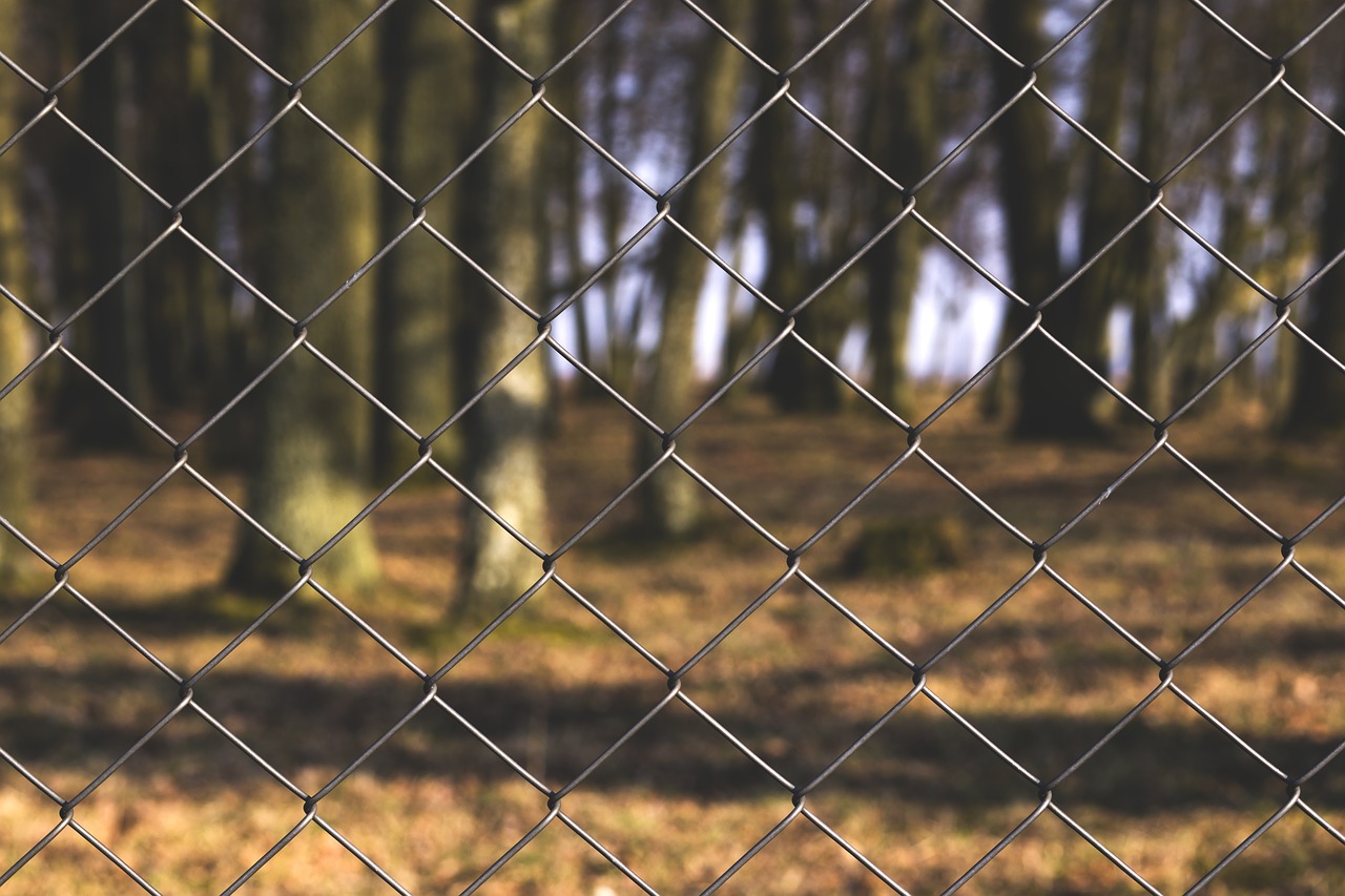 chainlink fence park free photo