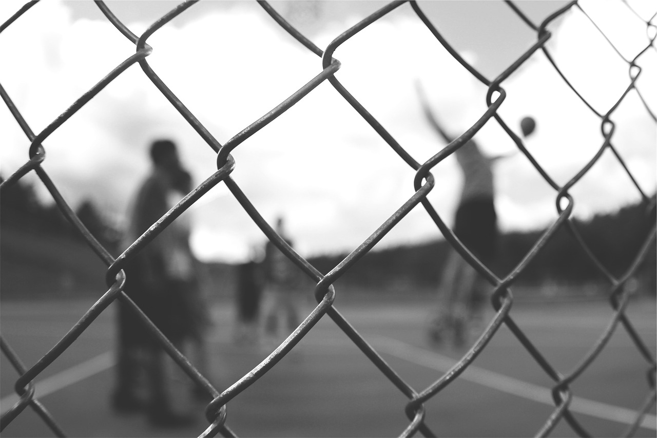 chainlink fence basketball free photo
