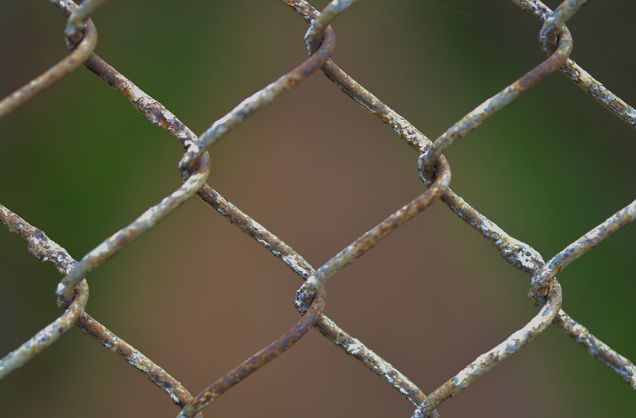 chainlink fence chain free photo