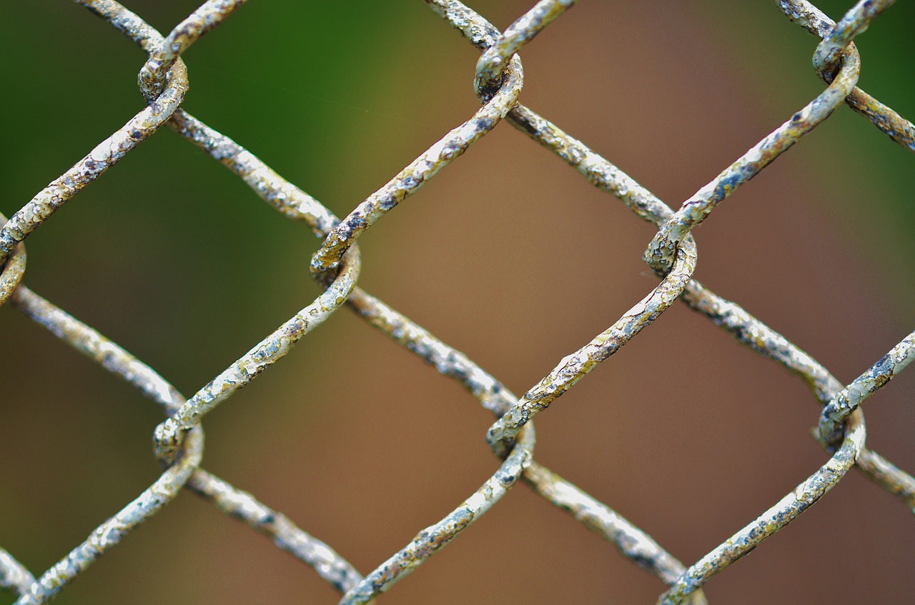 chainlink fence chain free photo