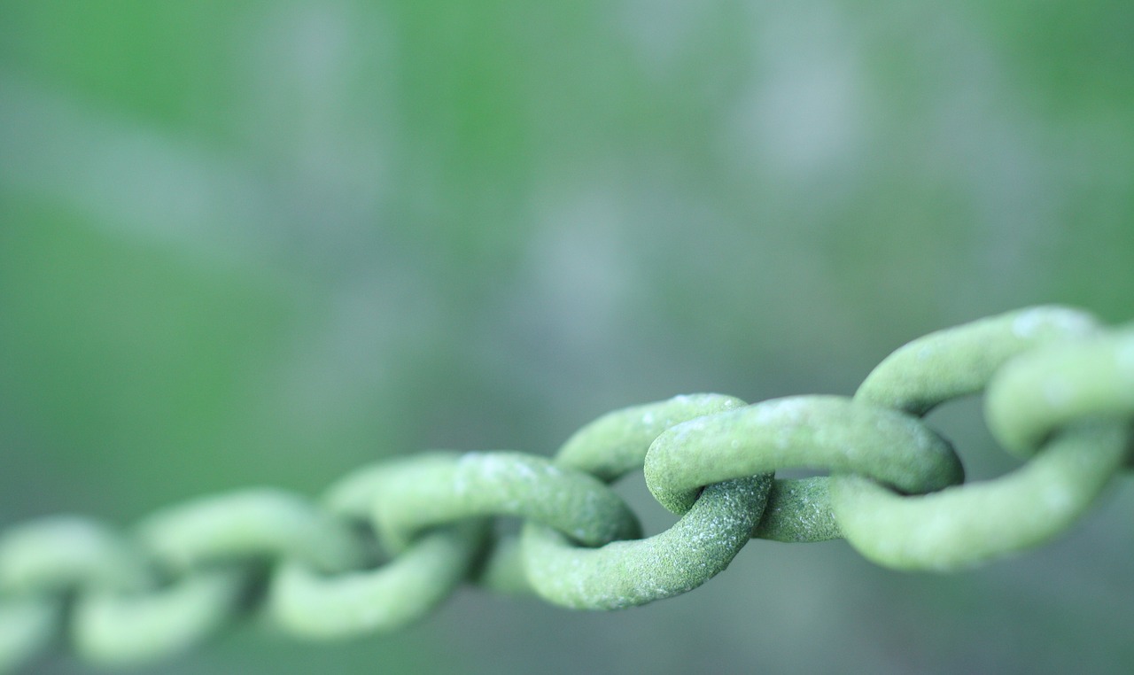 chains  link  green free photo