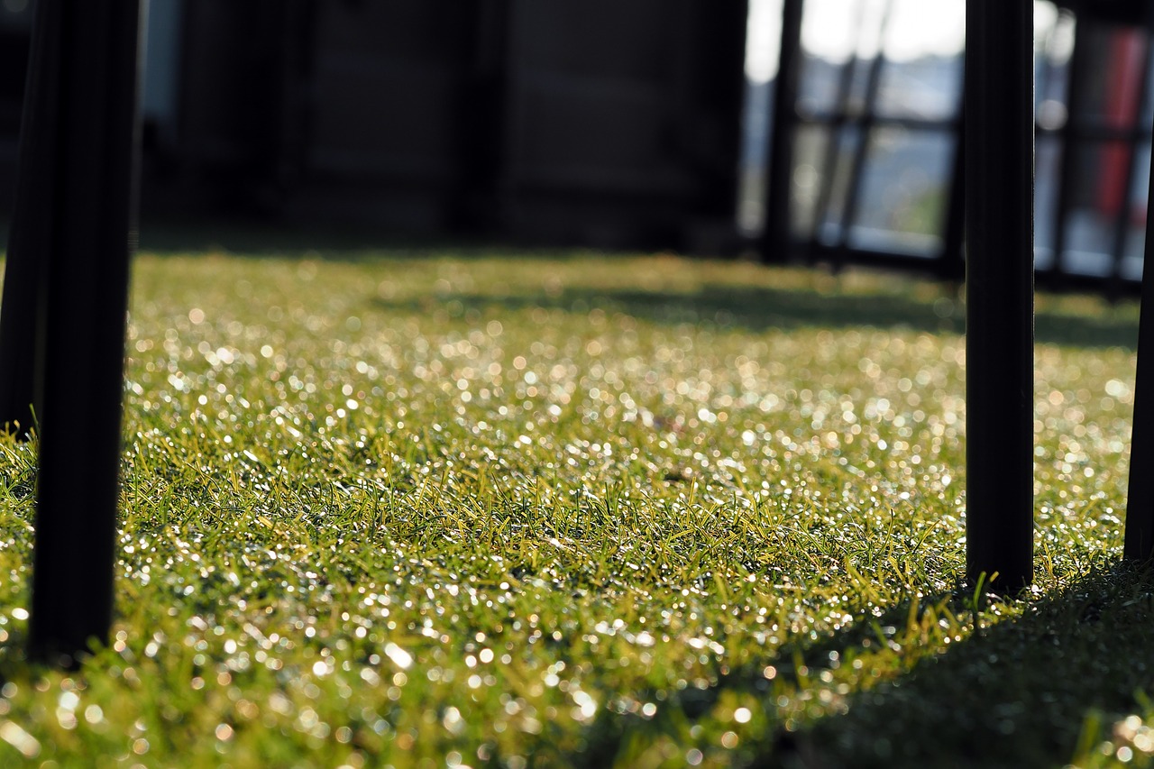 chair artificial grass golf club free photo