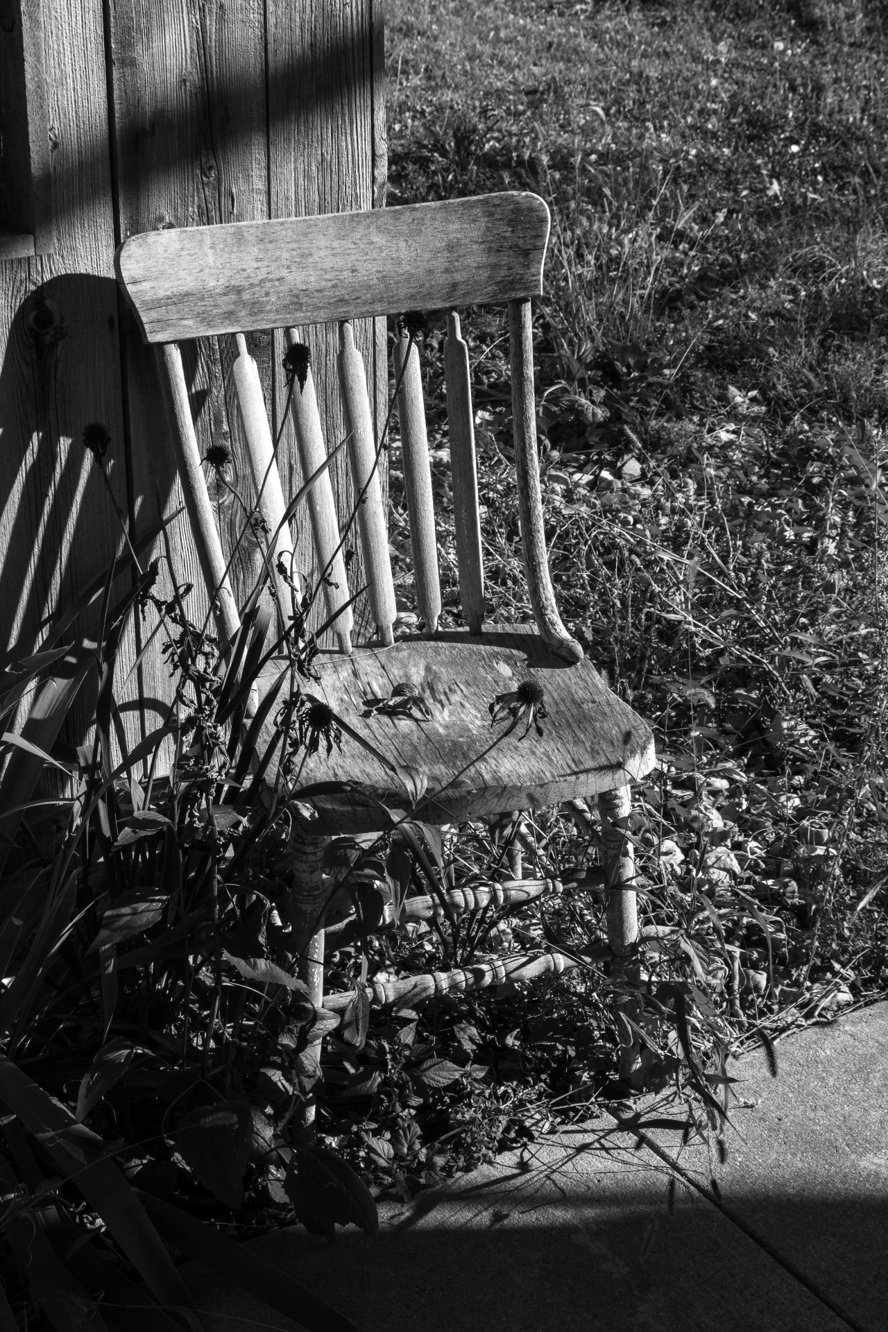 rural chair chair free photo