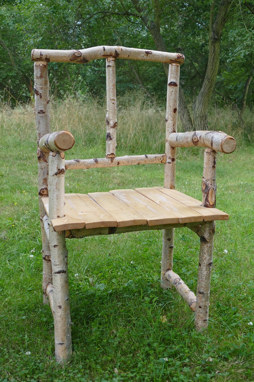 chair wood birch free photo