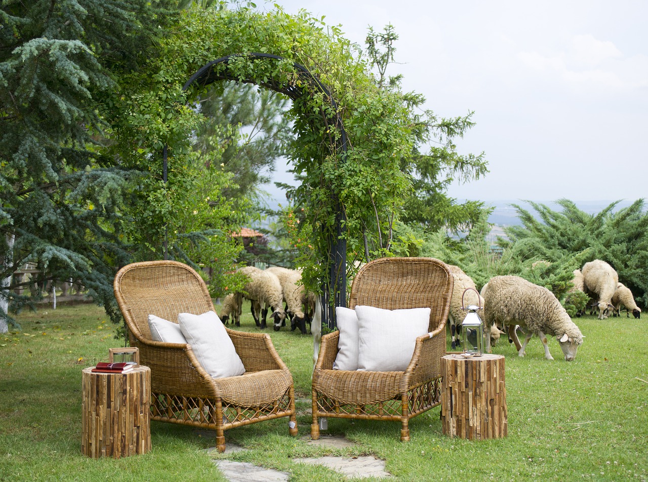 chair sheep farm free photo