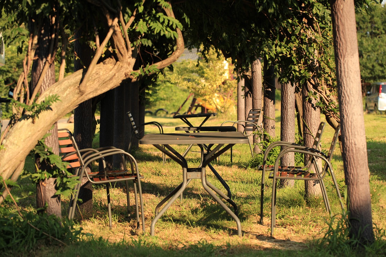 chair  forest  table free photo