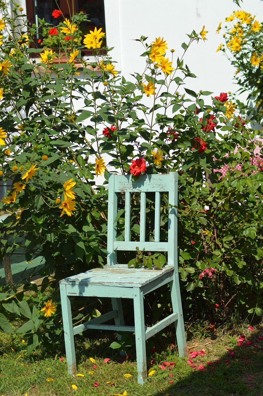 chair  colors  flower free photo