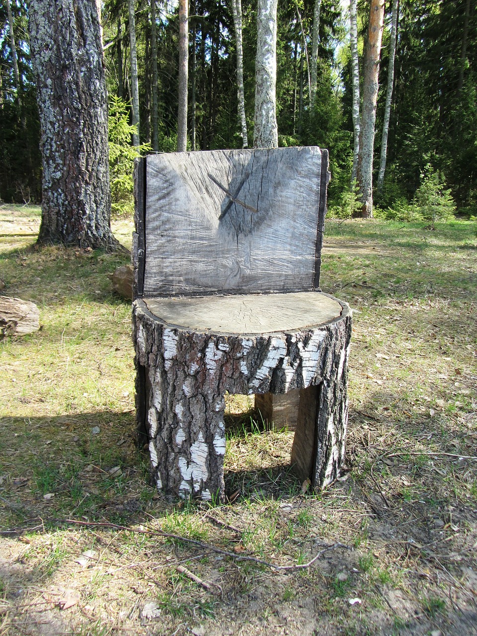 chair forest tree free photo