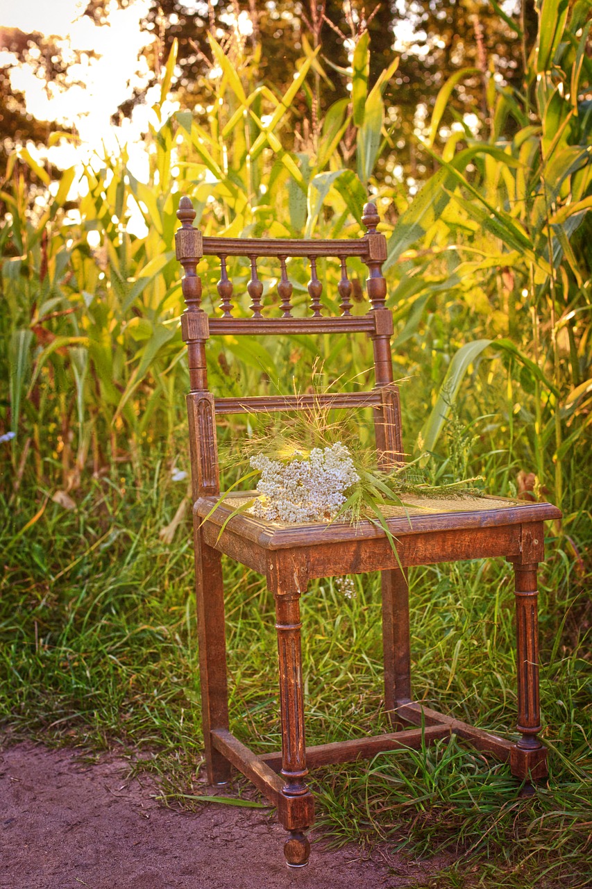 chair sun flowers free photo