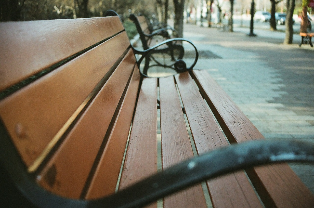 chair park bench free photo